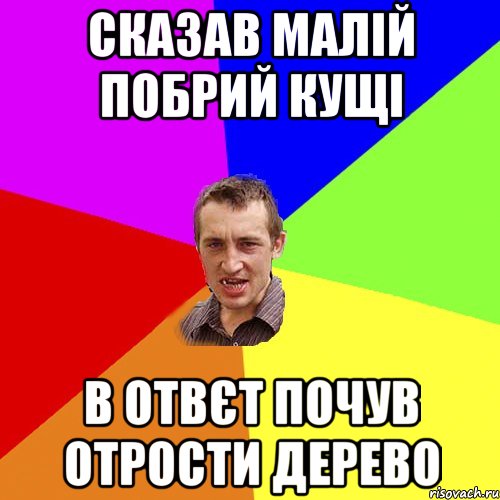 сказав малій побрий кущі в отвєт почув отрости дерево, Мем Чоткий паца