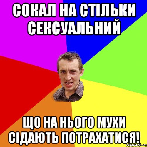 СОКАЛ НА СТIЛЬКИ СЕКСУАЛЬНИЙ ЩО НА НЬОГО МУХИ СIДАЮТЬ ПОТРАХАТИСЯ!, Мем Чоткий паца