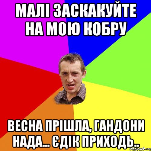 Малі заскакуйте на мою кобру весна прішла, гандони нада... Єдік приходь.., Мем Чоткий паца