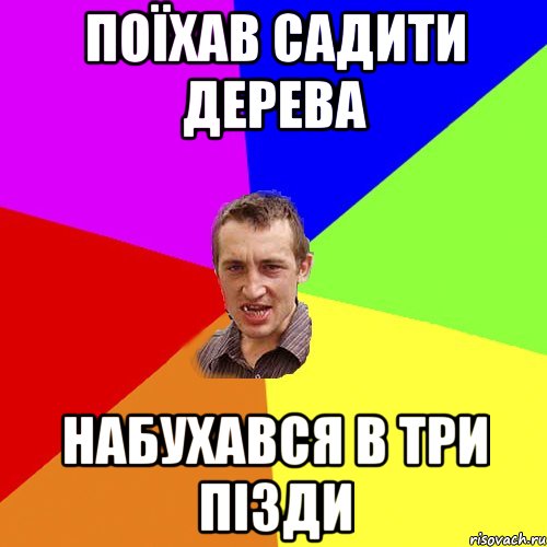 поїхав садити дерева набухався в три пізди, Мем Чоткий паца