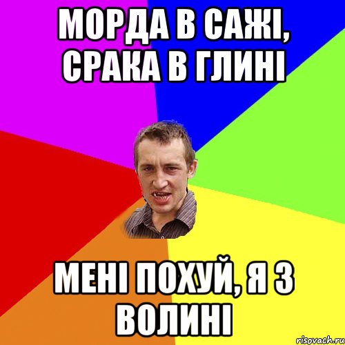 Морда в сажі, срака в глині Мені похуй, я з Волині, Мем Чоткий паца
