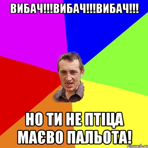 Вибач!!!Вибач!!!Вибач!!! Но ти не птіца маєво пальота!, Мем Чоткий паца