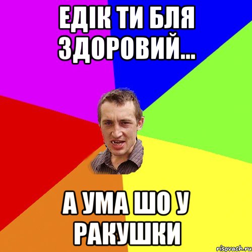 Едік ти бля здоровий... а ума шо у ракушки, Мем Чоткий паца