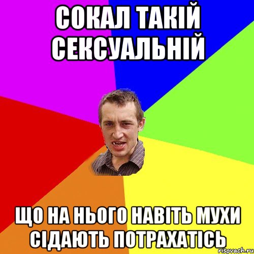 Сокал такiй сексуальнiй що на нього навiть мухи сiдають потрахатiсь, Мем Чоткий паца