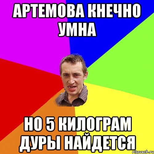 Артемова кнечно умна но 5 килограм дуры найдется, Мем Чоткий паца