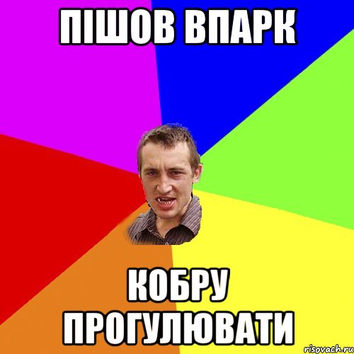 Пішов впарк КОБРУ ПРОГУЛЮВАТИ, Мем Чоткий паца