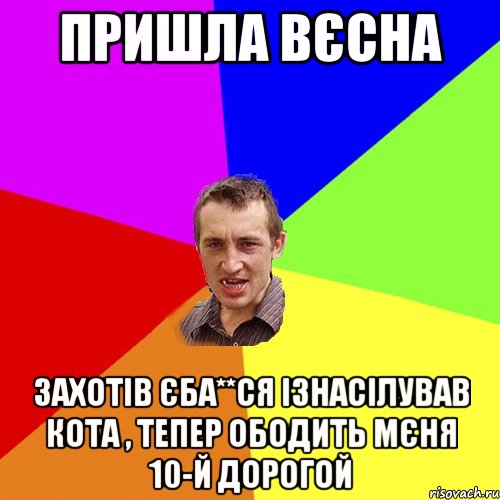 Пришла вєсна Захотів єба**ся ізнасілував кота , тепер ободить мєня 10-й дорогой, Мем Чоткий паца