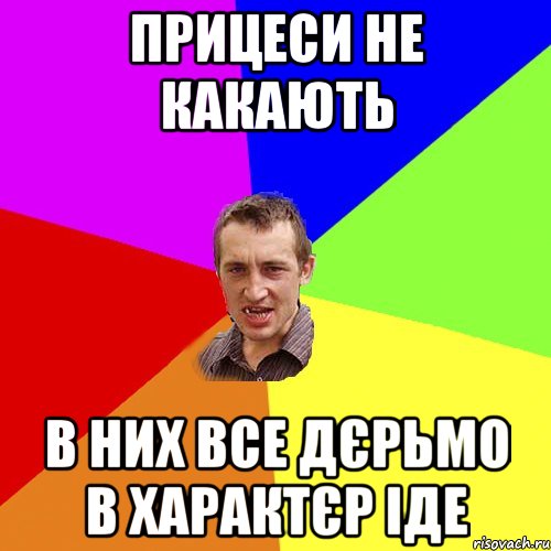 прицеси не какають в них все дєрьмо в характєр іде, Мем Чоткий паца