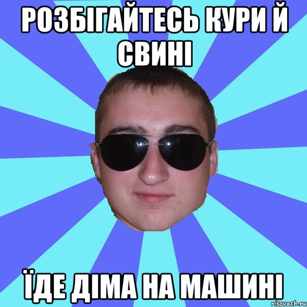 Розбігайтесь кури й свині їде Діма на машині