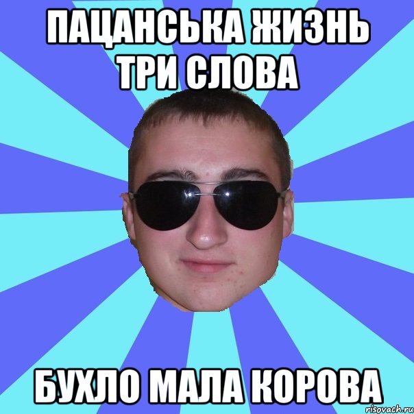 Пацанська жизнь три слова бухло мала корова