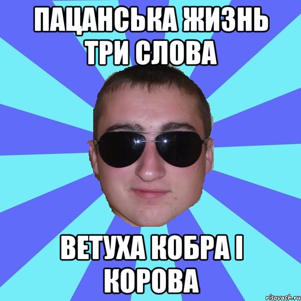 пацанська жизнь три слова ветуха кобра і корова