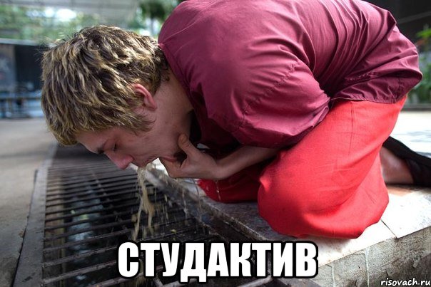  СтудАктив