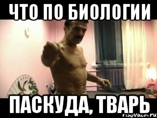 что по биологии паскуда, тварь