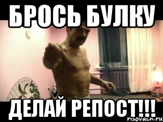 Брось булку ДЕЛАЙ РЕПОСТ!!!, Мем Паскуда тварь