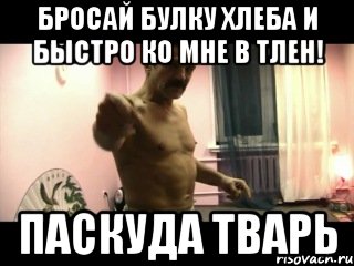 бросай булку хлеба и быстро ко мне в тлен! паскуда тварь, Мем Паскуда тварь