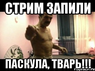 Стрим запили Паскула, тварь!!!, Мем Паскуда тварь