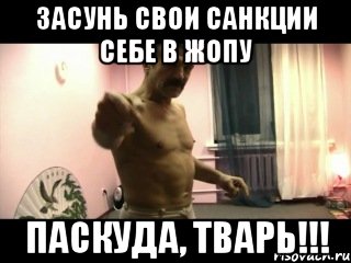 засунь свои санкции себе в жопу паскуда, тварь!!!, Мем Паскуда тварь