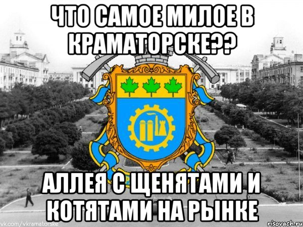что самое милое в краматорске?? аллея с щенятами и котятами на рынке