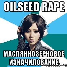 oilseed rape масляннозерновое изначилование