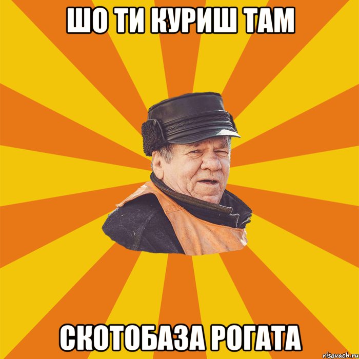 Шо ти куриш там Скотобаза рогата