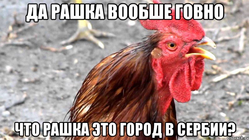 Да рашка вообше говно Что рашка это город в сербии?