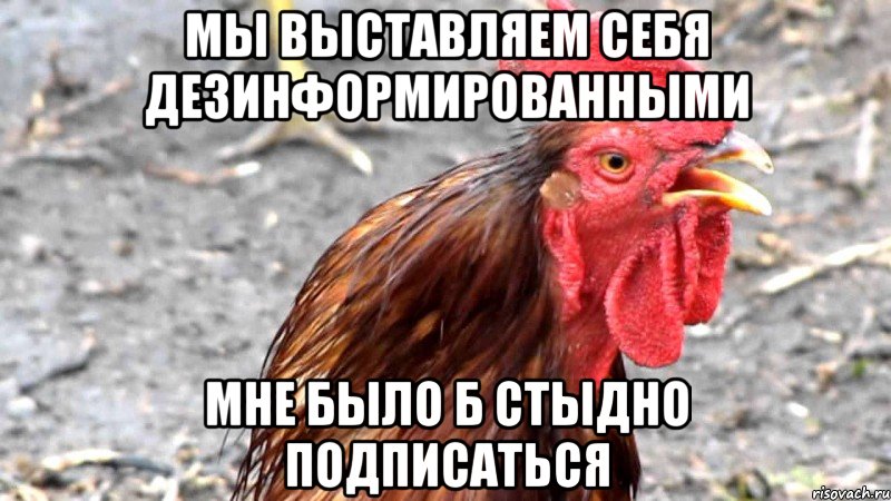 Мы выставляем себя дезинформированными Мне было б стыдно подписаться