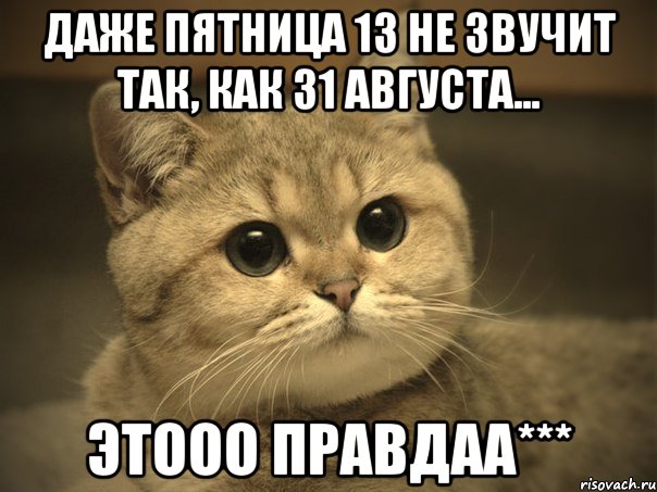 Даже пятница 13 нe звучит так, кaк 31 августа... Этооо правдаа***, Мем Пидрила ебаная котик