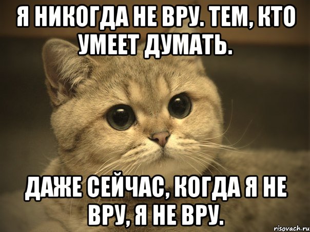 Я никогда не вру. Тем, кто умеет думать. Даже сейчас, когда я не вру, я не вру., Мем Пидрила ебаная котик