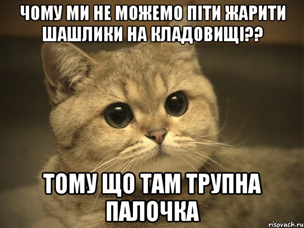 чому ми не можемо піти жарити шашлики на кладовищі?? тому що там трупна палОчка, Мем Пидрила ебаная котик