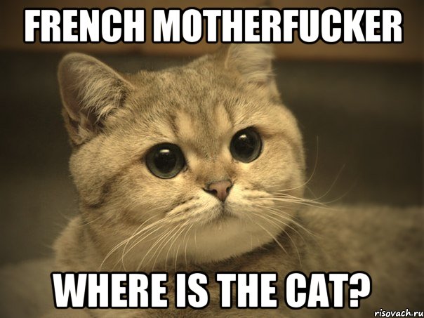 FRENCH MOTHERFUCKER WHERE IS THE CAT?, Мем Пидрила ебаная котик