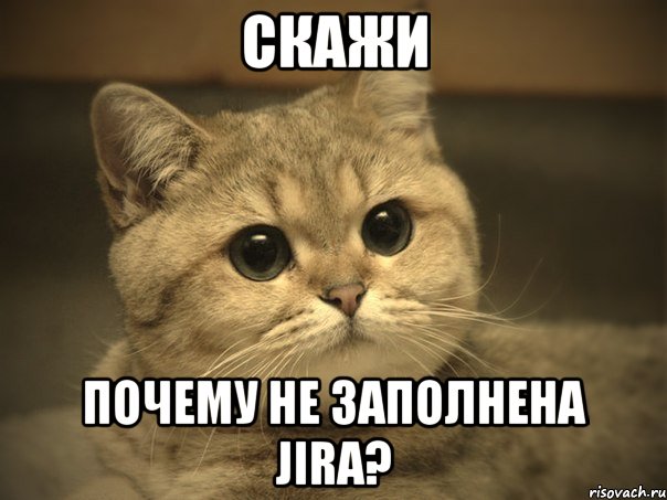 скажи почему не заполнена JIRA?, Мем Пидрила ебаная котик