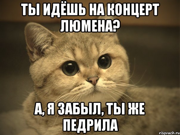 Ты идёшь на концерт Люмена? а, я забыл, ты же педрила, Мем Пидрила ебаная котик