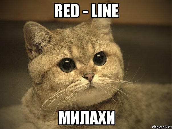 Red - Line Милахи, Мем Пидрила ебаная котик