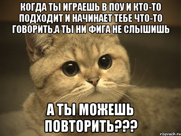 Когда ты играешь в Поу и кто-то подходит и начинает тебе что-то говорить,а ты ни фига не слышишь А ты можешь повторить???, Мем Пидрила ебаная котик