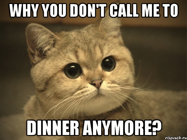 WHY YOU DON'T CALL ME TO DINNER ANYMORE?, Мем Пидрила ебаная котик