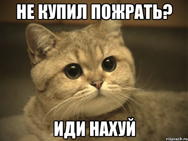 Не купил пожрать? Иди нахуй, Мем Пидрила ебаная котик