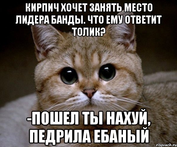 кирпич хочет занять место лидера банды. что ему ответит толик? -пошел ты нахуй, педрила ебаный, Мем Пидрила Ебаная