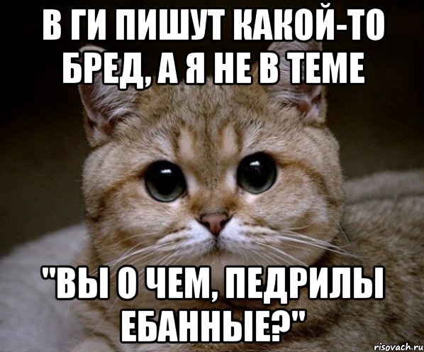 в ги пишут какой-то бред, а я не в теме "вы о чем, педрилы ебанные?", Мем Пидрила Ебаная