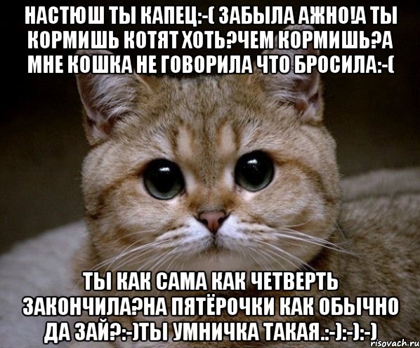 настюш ты капец:-( забыла ажно!А ты кормишь котят Хоть?чем кормишь?а мне кошка не говорила что бросила:-( ты как сама как четверть закончила?на пятёрочки как обычно Да зай?:-)ты умничка такая.:-):-):-), Мем Пидрила Ебаная