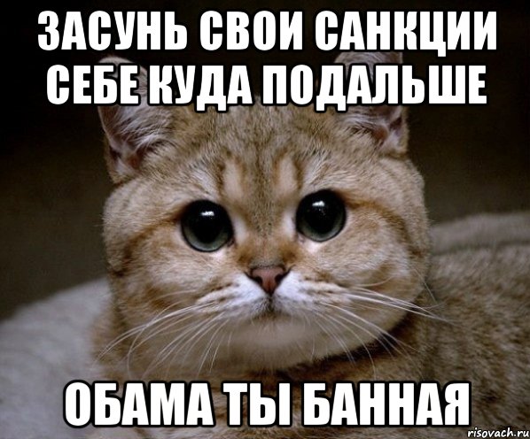 Засунь свои санкции себе куда подальше Обама ты банная, Мем Пидрила Ебаная