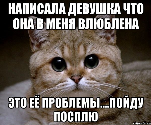 НАПИСАЛА ДЕВУШКА ЧТО ОНА В МЕНЯ ВЛЮБЛЕНА ЭТО ЕЁ ПРОБЛЕМЫ....ПОЙДУ ПОСПЛЮ, Мем Пидрила Ебаная