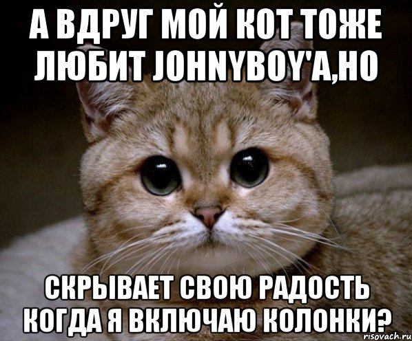 а вдруг мой кот тоже любит johnyboy'a,но скрывает свою радость когда я включаю колонки?, Мем Пидрила Ебаная