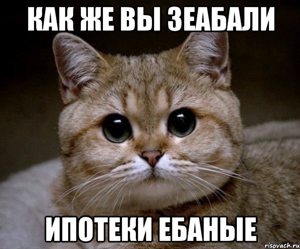 как же вы зеабали ипотеки ебаные, Мем Пидрила Ебаная