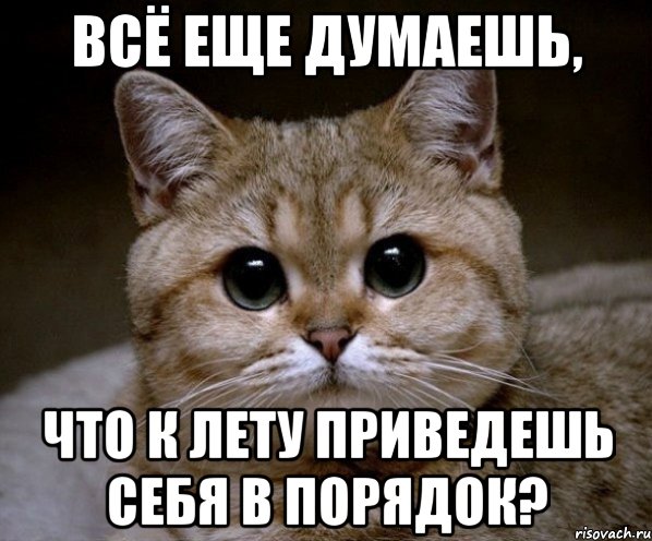 Всё еще думаешь, что к лету приведешь себя в порядок?, Мем Пидрила Ебаная