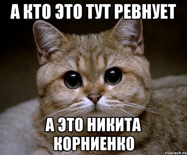 А кто это тут ревнует А это Никита Корниенко, Мем Пидрила Ебаная