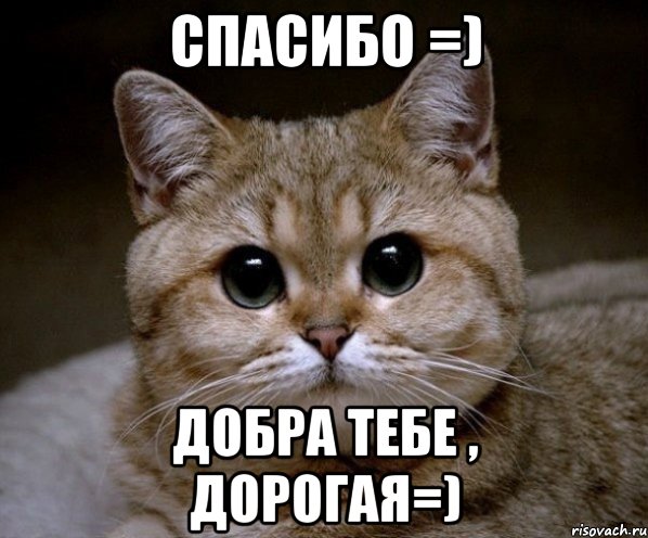 спасибо =) добра тебе , дорогая=), Мем Пидрила Ебаная