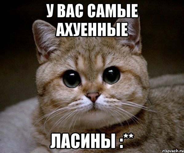 У ВАС САМЫЕ АХУЕННЫЕ ЛАСИНЫ :**, Мем Пидрила Ебаная