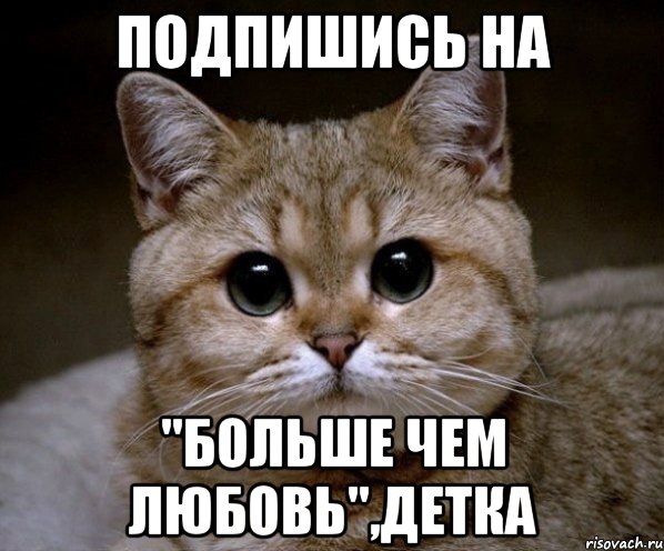 Подпишись на "Больше чем любовь",детка, Мем Пидрила Ебаная
