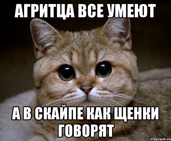 Агритца все умеют А в скайпе как щенки говорят, Мем Пидрила Ебаная