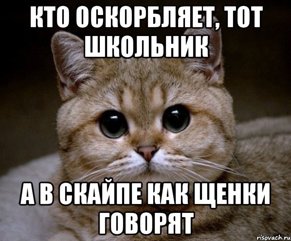 Кто оскорбляет, тот школьник А в скайпе как щенки говорят, Мем Пидрила Ебаная